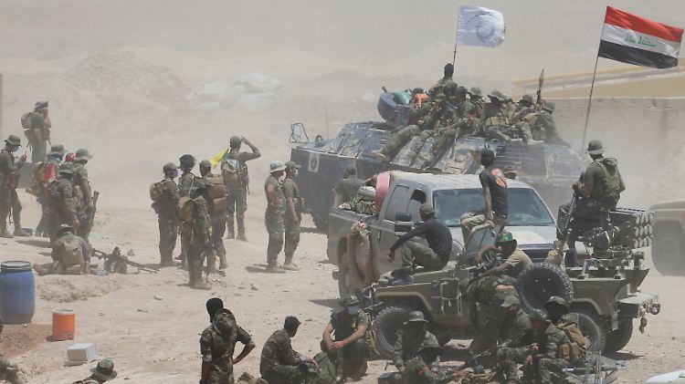 Irakische Soldaten und schiitische Kämpfer nahe Falludscha.