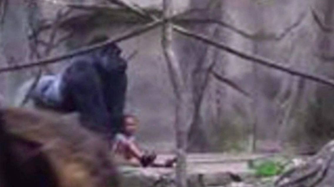 Kind_Gorilla.jpg