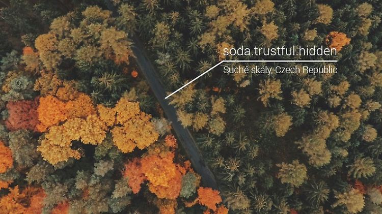 In einem dicht bewachsenen Wald sucht man Straßennamen und Hausnummern vergeblich.