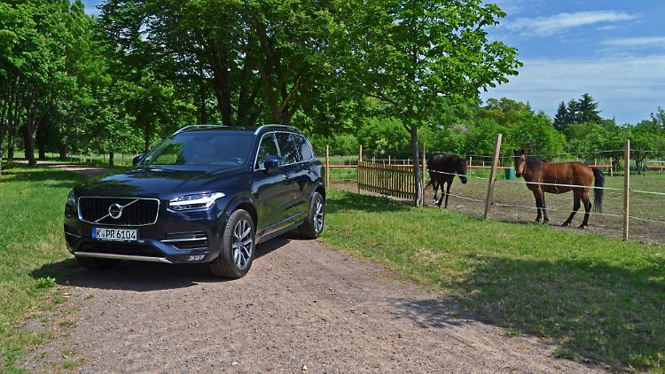 Göttervater Odin hätte die Pferde auf der Koppel gelassen und sich für einen Volvo XC90 entschieden.