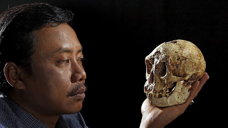 Klein, aber oho: Wissenschaftler gehen davon aus, dass die "Hobbits" richtig schlau waren. 