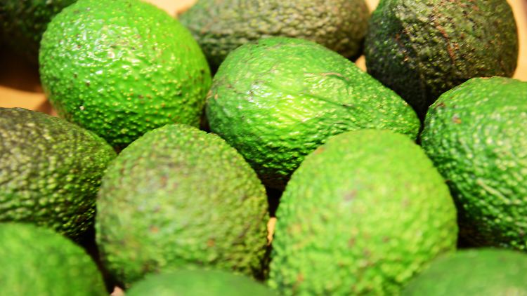 Wer in Neuseeland Guacamole machen will, muss dafür üppig bezahlen. 