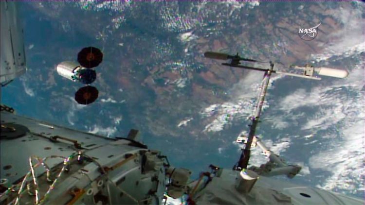 "Cygnus" (li.) beim Verlassen der ISS am 14. Juni 2016 (Aufnahme von NASA TV).