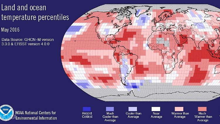 Die weltweite Temperaturverteilung über Land und Ozeanen im Mai 2016.