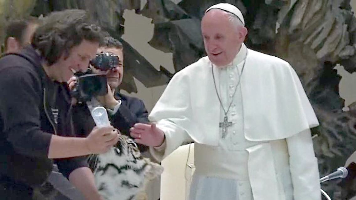 Tiger Papst.JPG