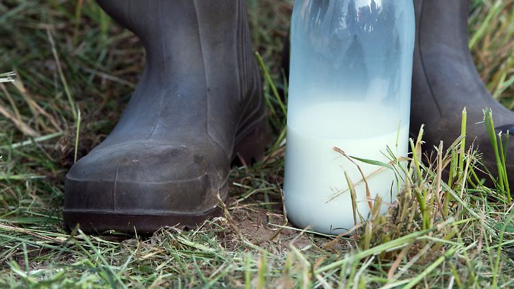 Diese Milch ist nicht gemeint, denn Bio-Milch wird fair produziert und auch genauso gehandelt und bezahlt.