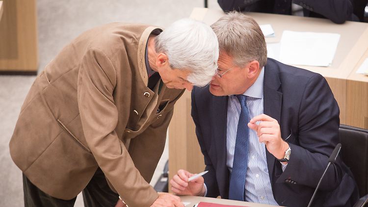 Der AfD-Landtagsabgeordnete Wolfgang Gedeon (l) und sein Fraktionschef Jörg Meuthen im Suttgarter Landtag.