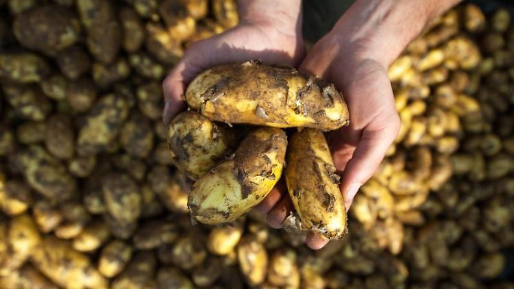 Wer in der Landwirtschaft arbeitet und Hautprobleme hat, muss reagieren. Foto: Philipp Schulze