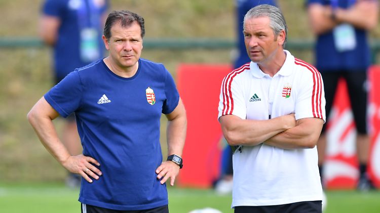 Das deutsche Trainergespann auf der ungarischen Bank: Andreas Möller und Bernd Storck.