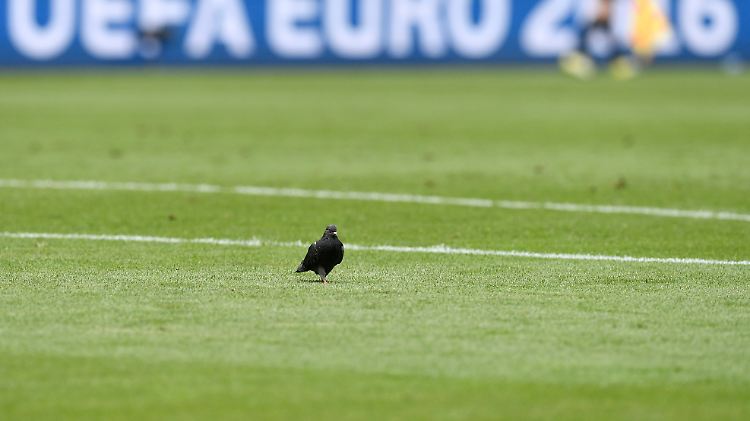 Ungewöhnlich wenige Tore, viele zähe Partien: Bislang überzeugt diese EM noch nicht wirklich.