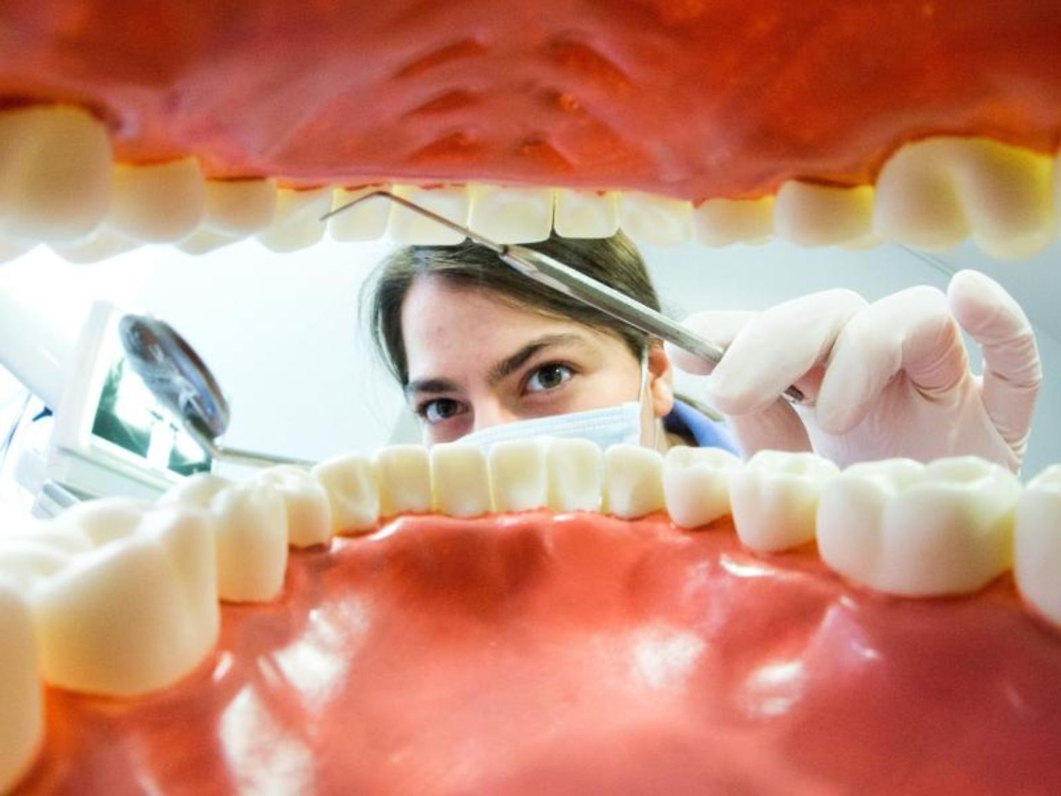 Zum Zahnarzt gehen ja die wenigsten Menschen gern. Ins Museum hingegen schon eher mal. Ein Dentalmuseum könnte da eine interessante, informative Brücke schlagen - obwohl: Für schwache Nerven sind die Exponate nichts. Furchteinflößend ist zum Beispiel ...