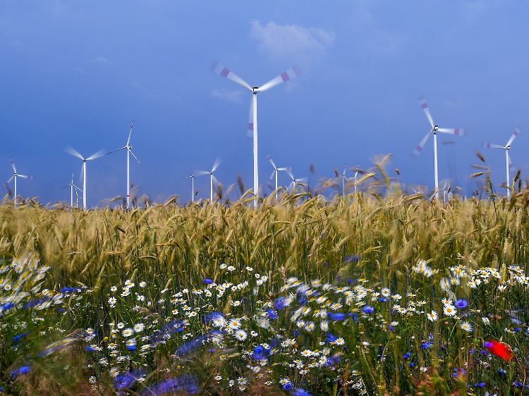 Immer wieder ziehen in den kommenden Tagen Wolken auf - wie hier im brandenburgischen Sieversdorf.