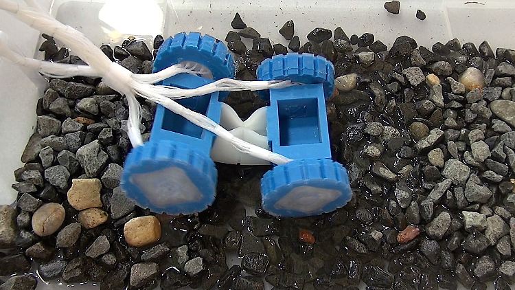 Steinige Teststrecke: Der weiche Roboter der US-Forscher meistert seinen Parcours. 