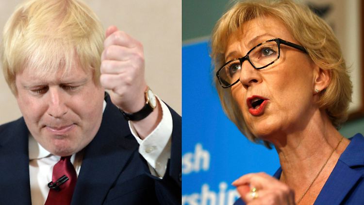 Im Rennen um die Nachfolge als britischer Premierminister tritt Boris Johnson nicht an - er unterstützt stattdessen Andrea Leadsom.