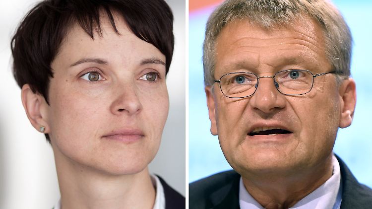 Das Verhältnis ist angespannt zwischen den AfD-Bundesvorsitzenden Frauke Petry und Jörg Meuthen.
