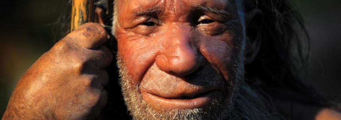 Nachbildung eines Neandertalers im Neanderthal-Museum in Mettmann. Foto: Federico Gambarini