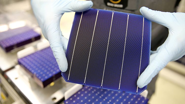 PERC-Zelle, die in einem Solarmodul verbaut wird. 