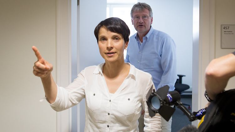 Zerstrittenes Führungsduo: AfD-Chefin Frauke Petry und Co-Chef Jörg Meuthen