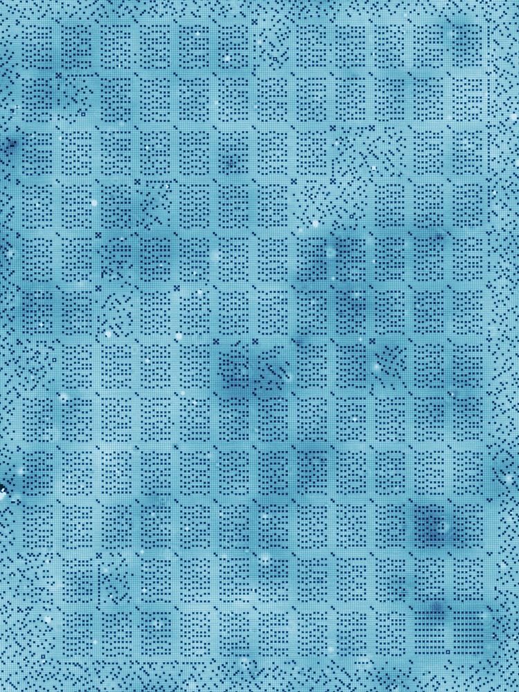 Ein 96 Nanometer breites und 126 Nanometer hohes Chloratomgitter auf einer Kupferoberfläche, auf dem ein Teil von "On the Origin of Species" von Charles Darwin geschrieben ist. Diese Speicherart hat eine etwa 500-fach bessere Speicherdichte als die besten derzeit erhältlichen Datenspeicher.