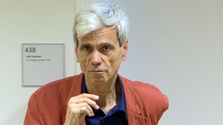 Saß nur vier Monate im Landtag, bereitete seiner Partei in dieser Zeit aber mächtig Ärger: Wolfgang Gedeon.