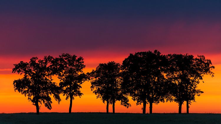 Das Abendrot draußen kann man noch genießen, aber dann im Haus: Licht aus!