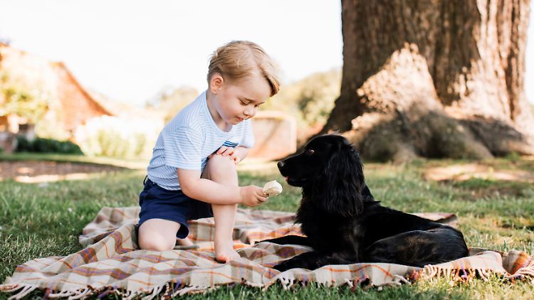 Happy birthday, little George!