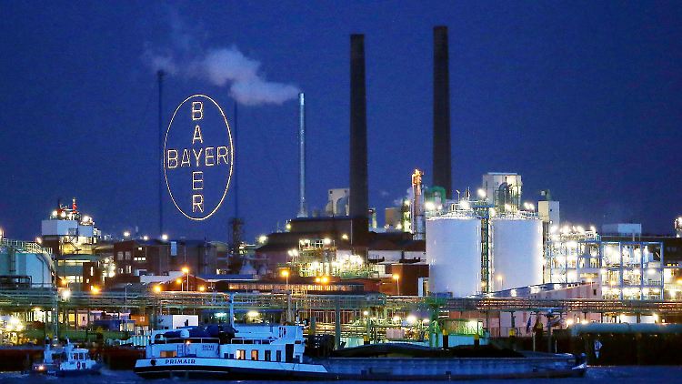 Es läuft gut für Bayer.