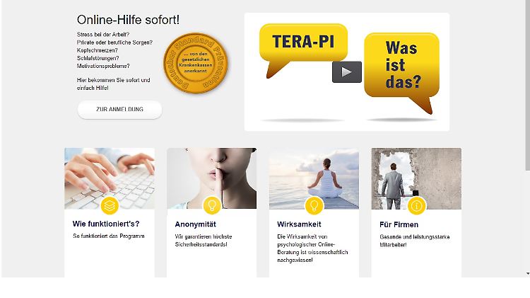 Startseite von terapi.de: Im ersten Schritt sollen sich Hilfesuchende einem Online-Selbsttest unterziehen.