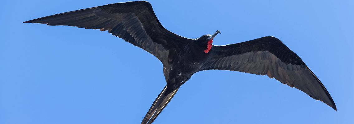 imago63820235h.jpg