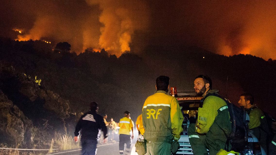 Rund hundert Hektar Wald hat das Feuer verrichtet - die Löscharbeiten werden durch extrem hohe Temperaturen erschwert.