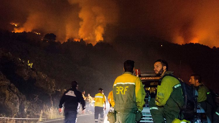 Rund hundert Hektar Wald hat das Feuer verrichtet - die Löscharbeiten werden durch extrem hohe Temperaturen erschwert.