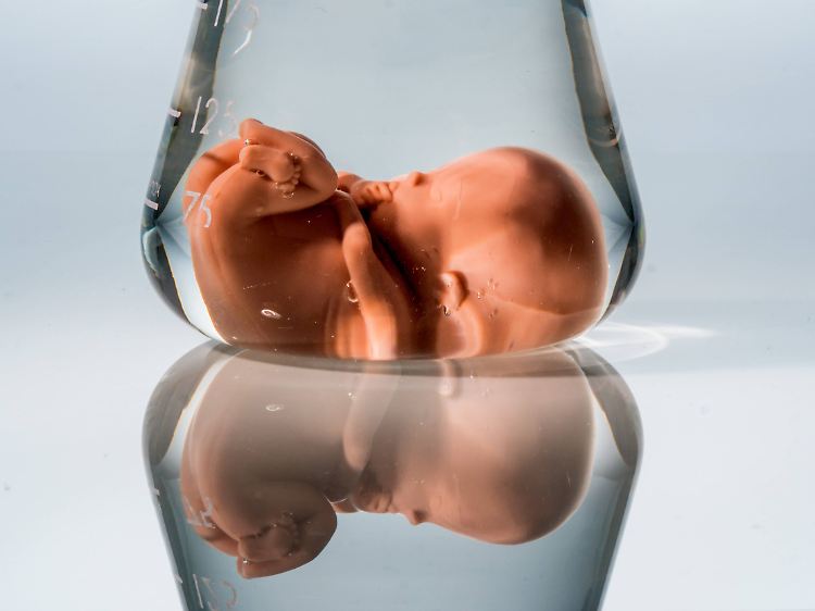 Wie gründlich muss ein Kinderwunschzentrum prüfen, ob sich beide tatsächlich ein Kind wünschen? Das musste ein Gericht in einem Unterhaltsprozess entscheiden.