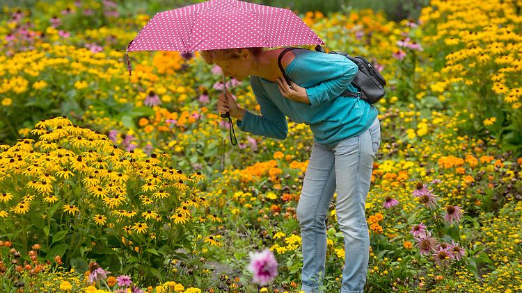 In den kommenden Tagen heißt es endlich wieder Sonnen- statt Regenschirm.