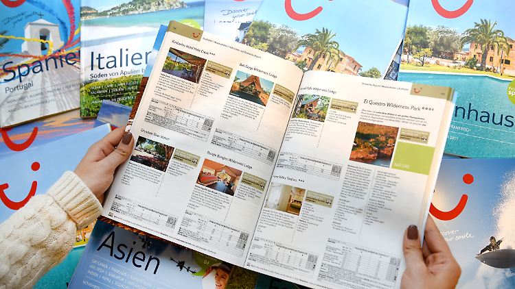 Die Zahl der Reisebüros bleibt seit Jahren stabil - trotz des Internets.