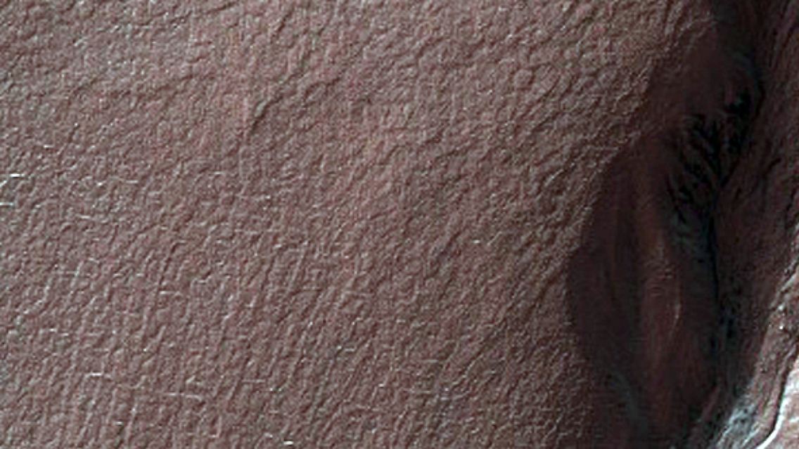 Die hochauflösende Stereokamera ist in der Lage, aus einer Höhe von 200 bis 400 Kilometern Fotos zu machen ...