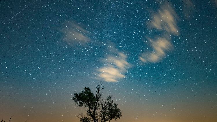 Eine Sternschnuppe (links oben am Himmel über Poznan (Polen) am 11. August.