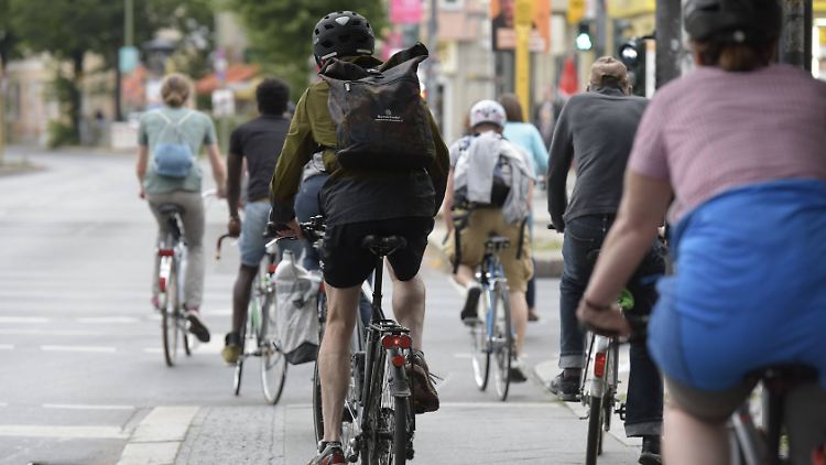 Manchmal herrscht auch auf dem Radweg Stau.