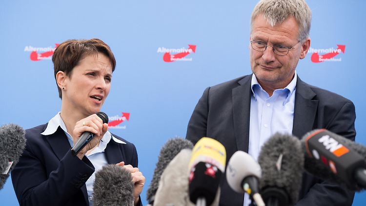 Petry und Meuthen wollen mehr miteinander statt übereinander reden.