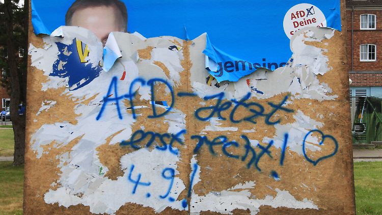 Wahlkampf in Mecklenburg-Vorpommern: Nicht nur die AfD, sondern auch die übrigen Parteien im Nordosten beklagen beschädigte Wahlplakate.