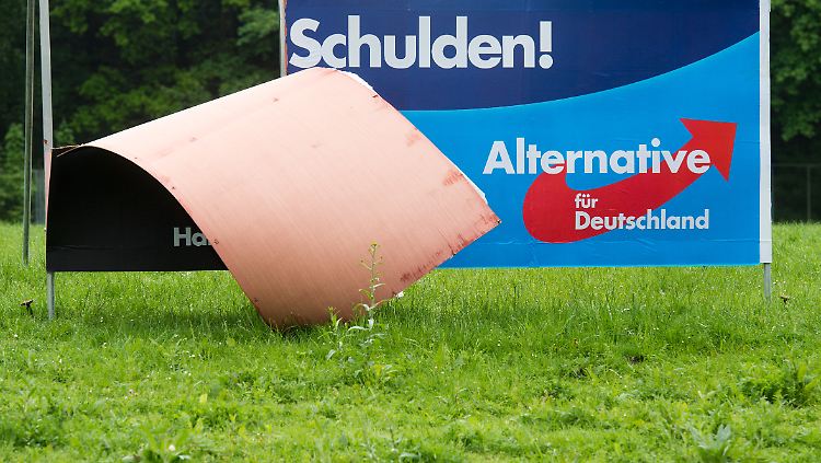 OSZE soll gegen Vandalen helfen: Die AfD beklagt, dass ihre Wahlplakate oft zerstört und ihre Grundrechte dadurch verletzt würden. 