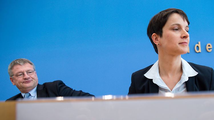 Die Streitigkeiten zwischen Meuthen und Petry konnten der AfD offenbar nichts anhaben. 