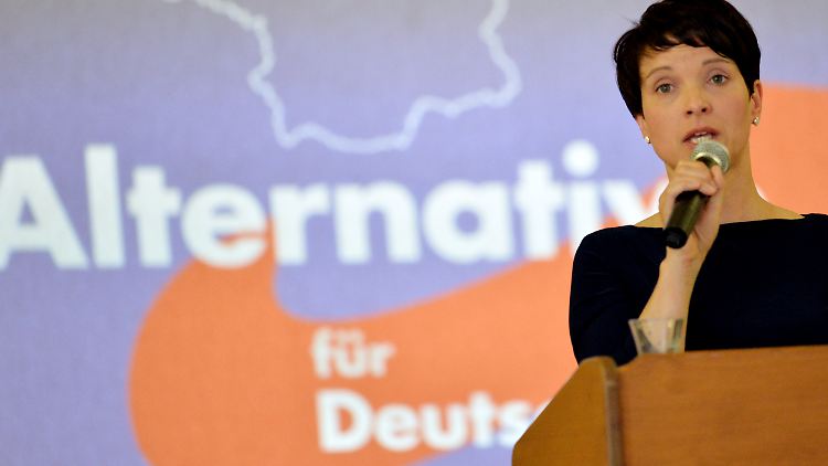 Private Waffenkäufe sind für Fraue Petry nicht befremdlich.