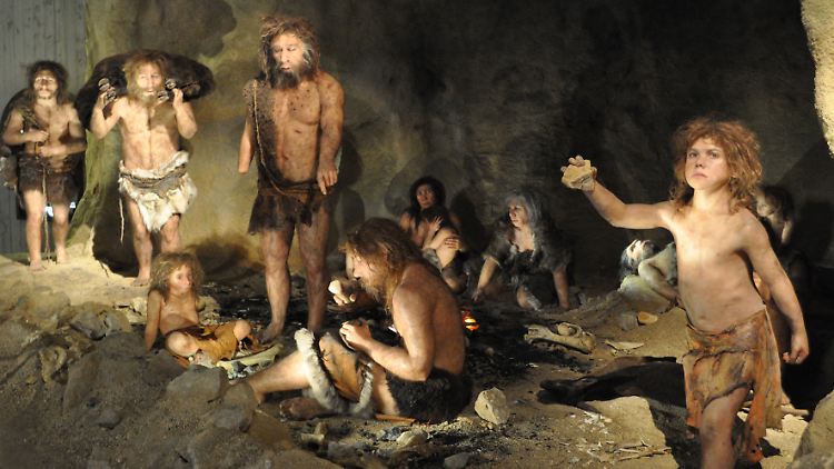 Über das soziale Verhalten der Neandertaler können Wissenschaftler nur spekulieren  (Neandertalermuseum Kroatien).