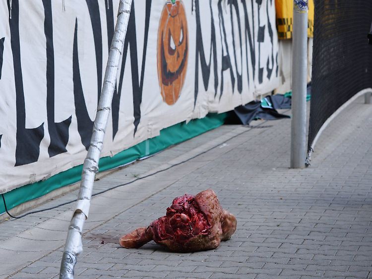 Der abgetrennte Bullenkopf.