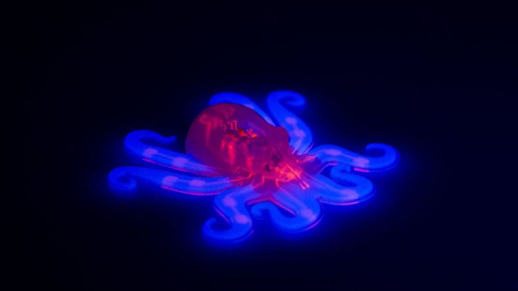 Octobot mit seinem pneumatischen Netz (rot) und den elastischen Armen (blau).