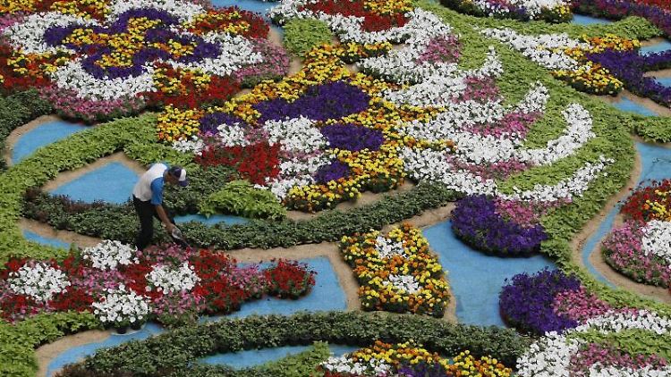 Prachtvoll: Erst kürzlich wurde in Kolumbien das Blumenfestival gefeiert.