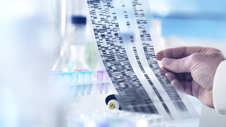 Augenfarbe, Hautfarbe, Gesichtsform: Das alles können die Experten aus der DNA eines Verdächtigen lesen. 