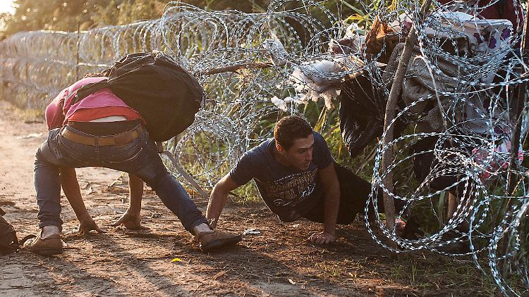 August 2015: Flüchtlinge helfen einander, unter dem Stacheldraht an der Grenze zwischen Ungarn und Serbien durchzukommen.