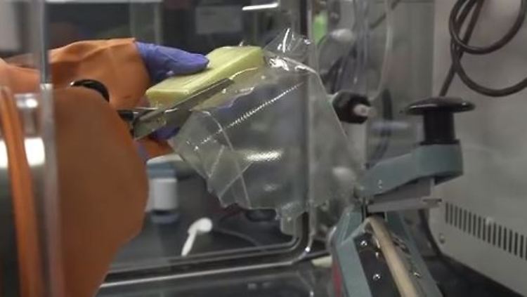 Die neue Folie kann sogar mehr als herkömmliche Plastikverpackungen - dessen sind sich die Entwickler sicher.