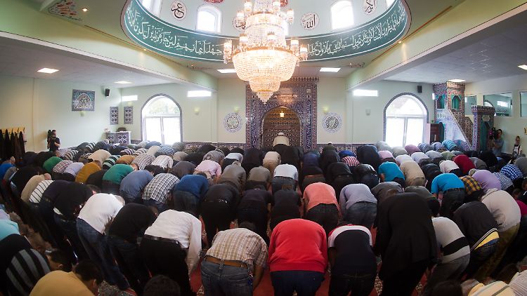 Muslime beim Gebet in einer Moschee in Niedersachsen: Integration kann nur über eine gemeinsame Sprache funktionieren.